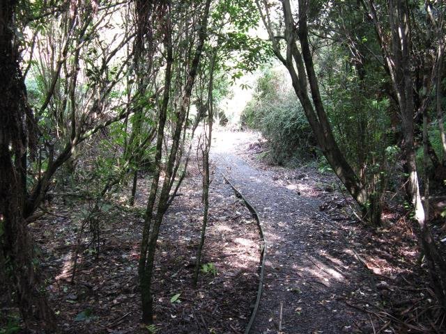 Top path. May 2014. Cambridge Tree Trust